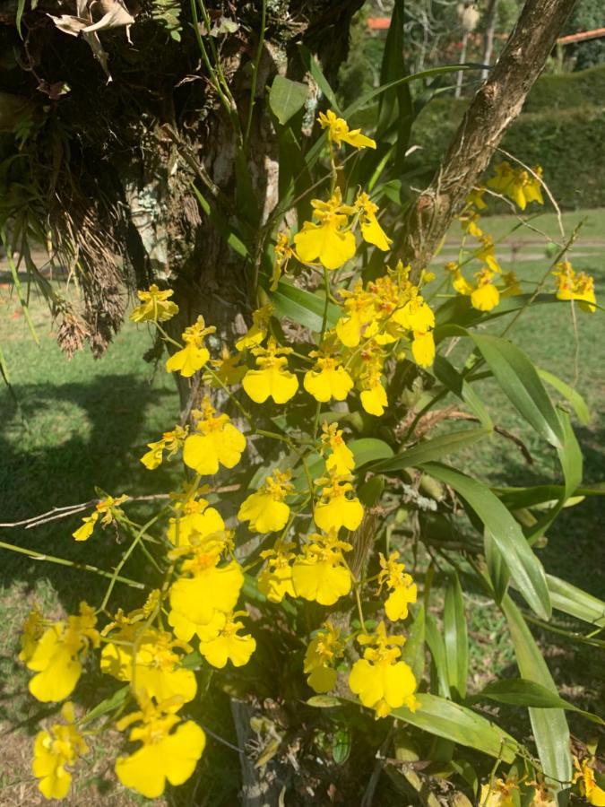 فيلا Casa Na Serra Teresópolis المظهر الخارجي الصورة