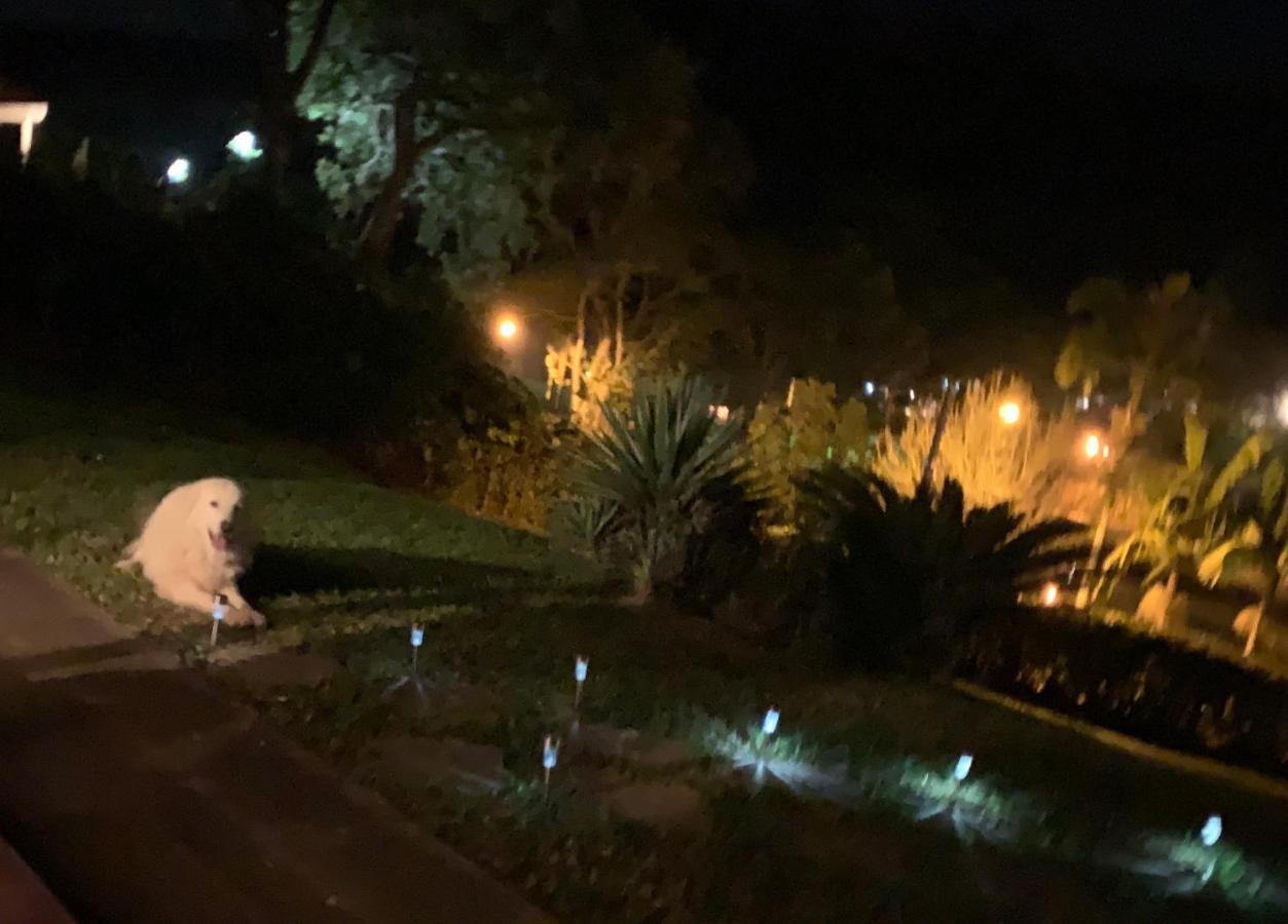 فيلا Casa Na Serra Teresópolis المظهر الخارجي الصورة